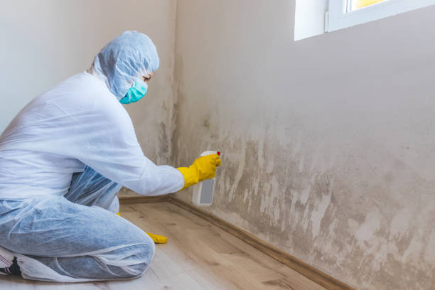 Licensed Crawl Space Mold Removal service in Kissimmee, FL - WQB Mold Removal