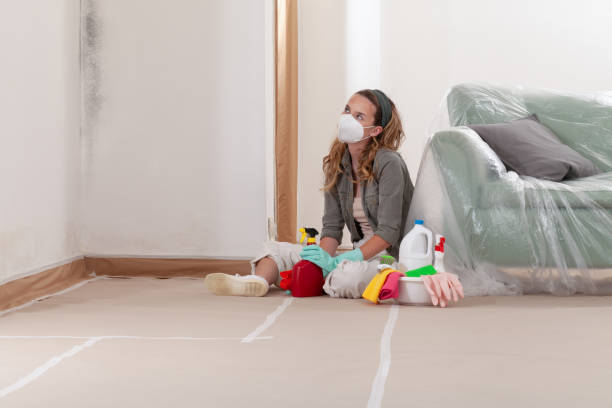 Reliable Crawl Space Mold Removal contractor in Kissimmee, FL by WQB Mold Removal